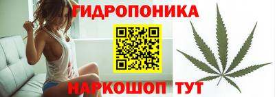 ПСИЛОЦИБИНОВЫЕ ГРИБЫ Майкоп