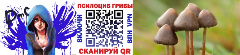 мега tor Апрелевка Галлюциногенные грибы мицелий