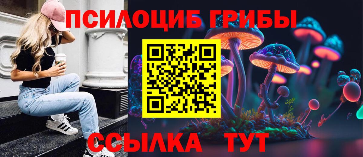 Апрелевка  Галлюциногенные грибы Psilocybe  закладка  Вход с VPN 
